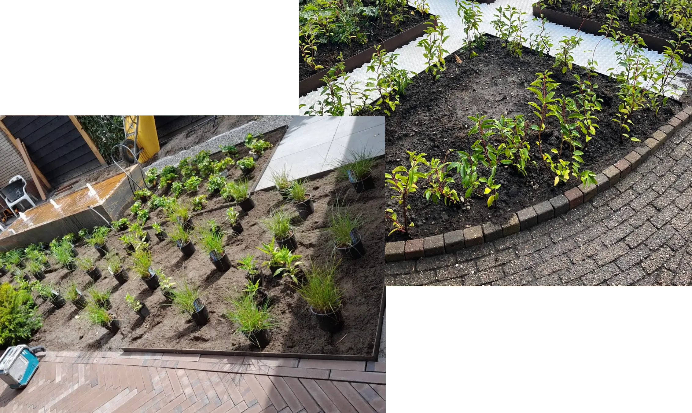 beplanting van een tuin beplanting van een tuin