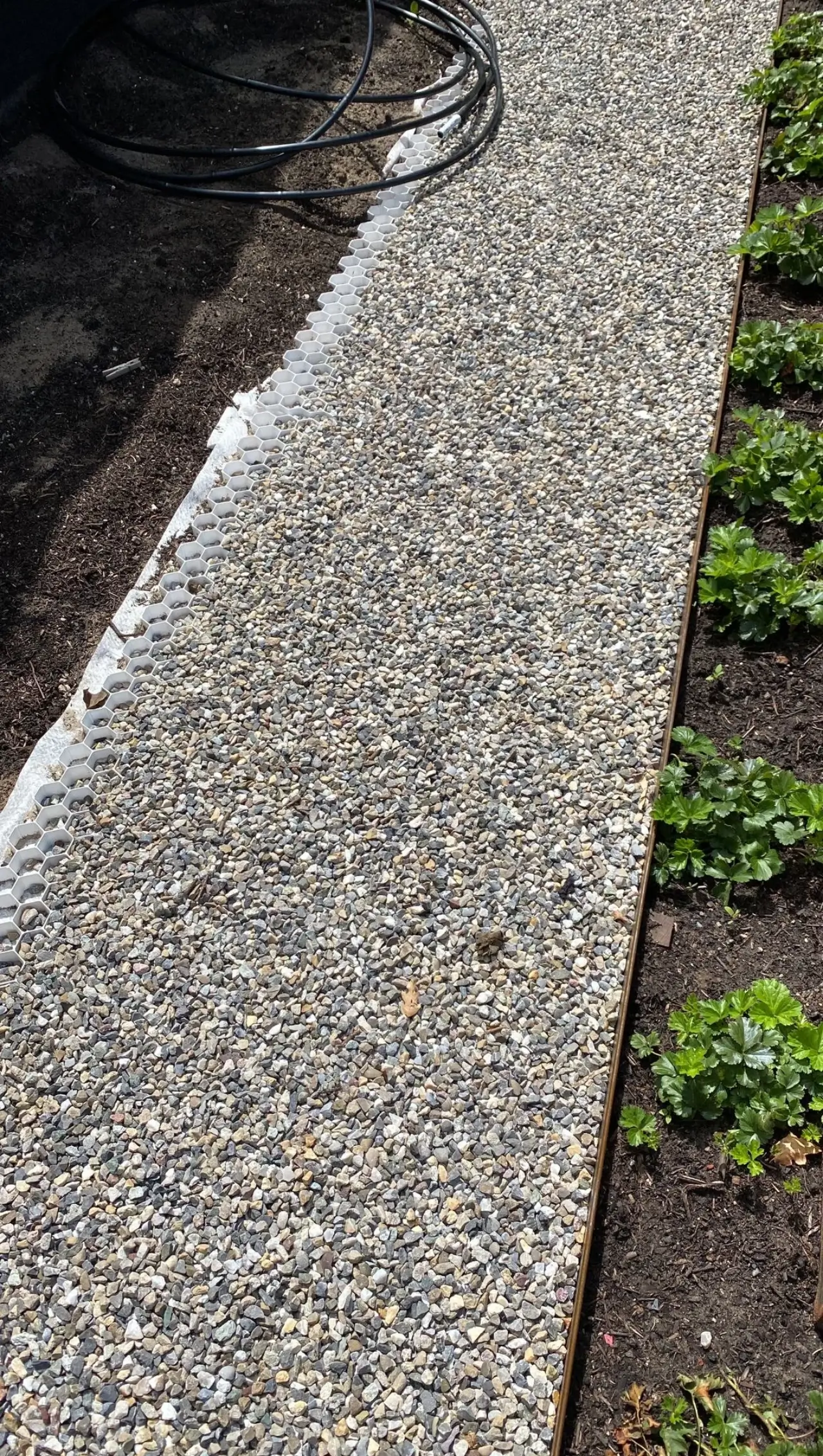 Grindpad met planten Grindpad met planten